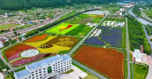 漫步大箐山朗乡花海 沉浸式解锁多元参与式体验惊喜