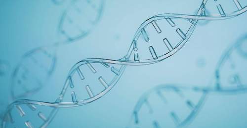 两起基因编辑试验致死案例曝光 看IIT规范缺失如何影响中国生物医药国际声誉