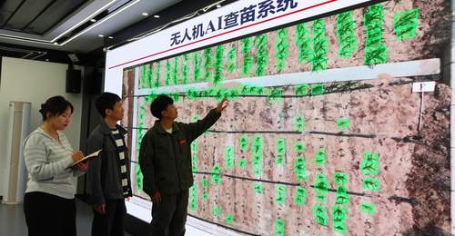 2026夏季达沃斯论坛观察