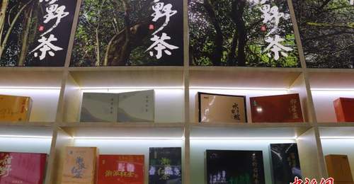 追寻“野”的智慧:浙江人与自然共生“金”