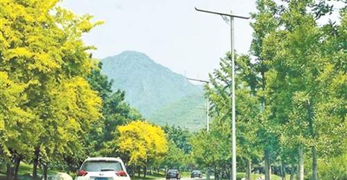 乌鲁木齐、成都等成暑期自驾游热门目的地