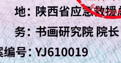 “国际应急救援中心陕西总队”被取缔,曾下设书画研究院