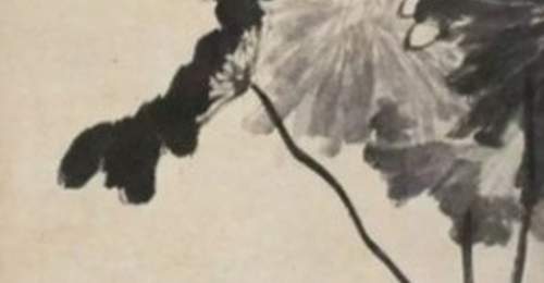 人文|八大山人的“荷”