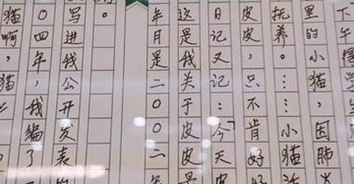 80后作家甫跃辉:“笔会”给我巨大的信任与催促