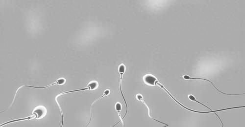 千年“养精蓄锐”遭推翻,牛津 5.4 万人研究:精子越攒,质量越差