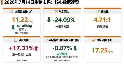 涌益/钢联/卓创三方同步确认6月能繁去化加速!机构提示:二育退潮后猪价短期或承压
