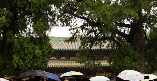 山西:暑期文旅热