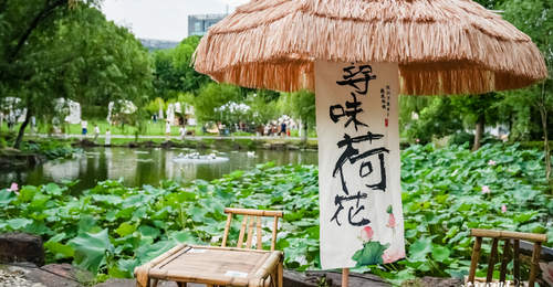 夜游赏荷!大宁公园荷花主题游园会来啦