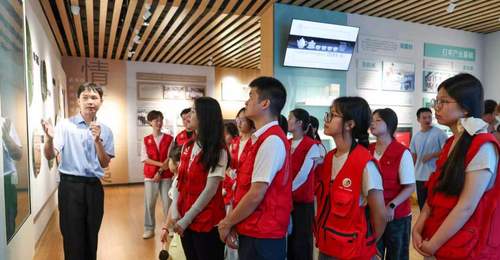 福建茶旅融合:茶香浸润青春实践之旅