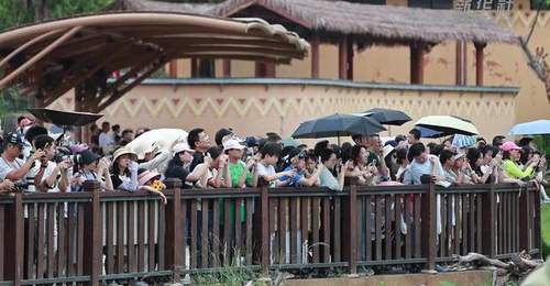 广东暑期文旅迎新动能 生态体验成亮点