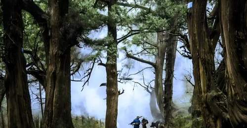 古道新途画中游:绵阳公路串联山水画卷