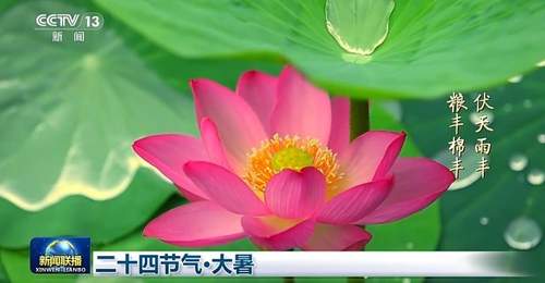 大暑时节来文化中国行 参与多元民俗互动共感盛夏意趣