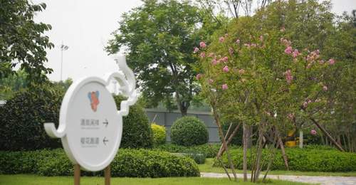 来潍坊象主题公园体验多元生态文化 推窗见绿出门入园的宜居好地方等你来