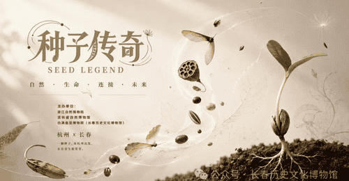 来长春历史文化博物馆参与《种子传奇》科普特展，解锁神奇种子的多元体验