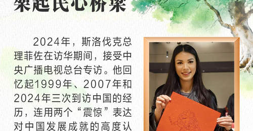 7月28日人民大会堂中斯互动:多元活动共筑双边友谊新图景