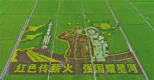 盛夏兴安盟古庙村 看稻田里的3D立体景观绘就乡村新图景
