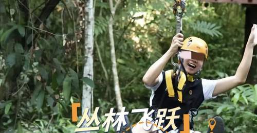 西双版纳原始森林公园丛林飞跃项目突发状况 游客排队三小时待体验遇暂停 涉事项目已临时停运