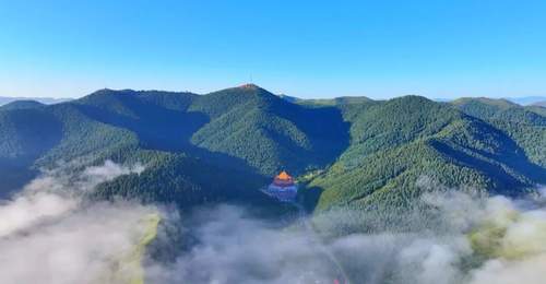 去雪域羚城赴一场夏日草原盛会 每一处都藏着治愈你的惊喜体验