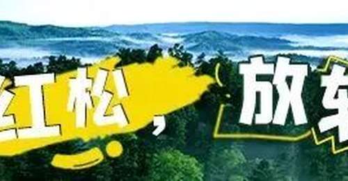 伊春夏季旅游季价格要留心 市场监管局提醒游客避开价格坑