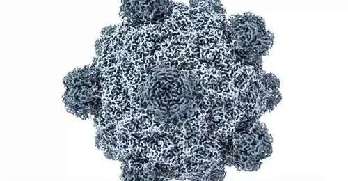 亲手参与AI造功能性噬菌?斯坦福团队带你见证基因设计新突破:人工病毒竟能突破耐药菌防线