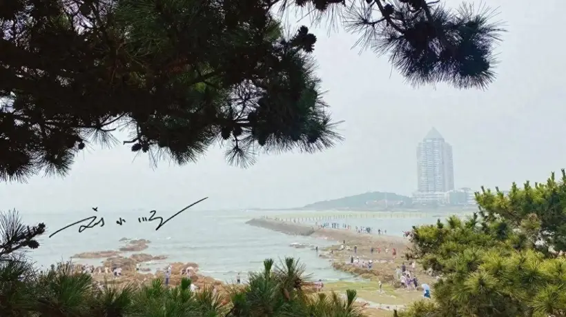 来青岛赴海滨之约 逛多元产业活动享开放门户魅力