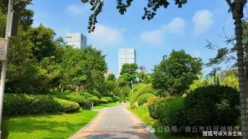 来商丘日月湖景区赴一场清凉盛夏之约 沉浸式感受湖光绿意里的清欢时光