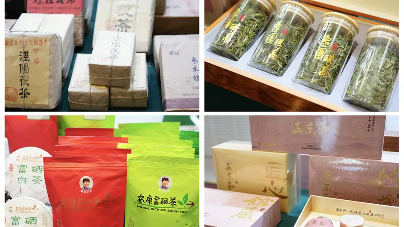陕茶带着创新茶香走进天山 多元体验激活丝路茶香新玩法