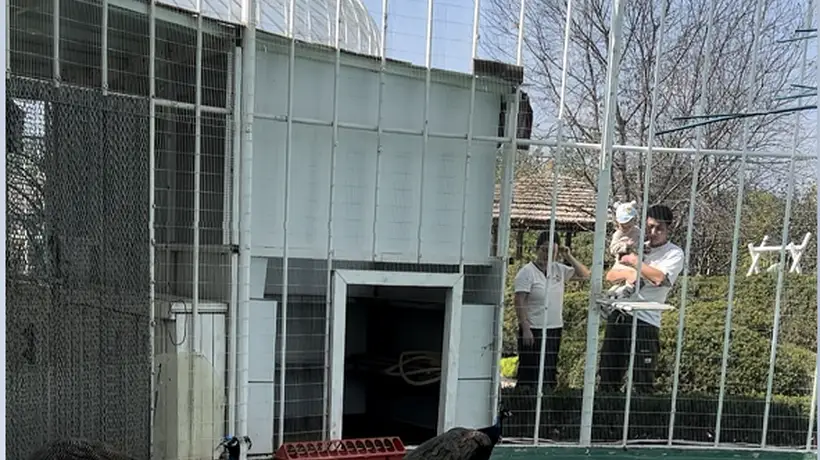 凤城近郊带萌宠互动和亲水赏花的帐篷休闲好去处等你打卡