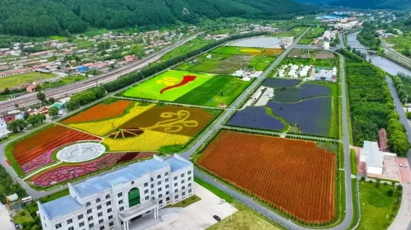 漫步大箐山朗乡花海 沉浸式解锁多元参与式体验惊喜