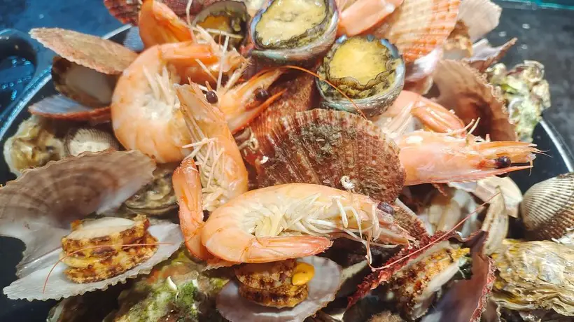 来日照赴一场清凉又省心的海边逛游 多元活动和免费海岸线让游客玩得尽兴