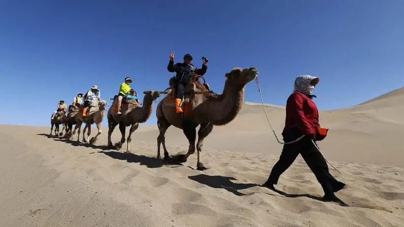 2026暑期敦煌鸣沙山月牙泉 千人骑乘骆驼逛大漠体验丝路慢游热