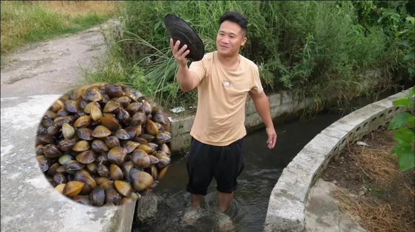 扬州人私藏的河蚌鲜味儿 拍嫩焯水久炖 错过亏大了