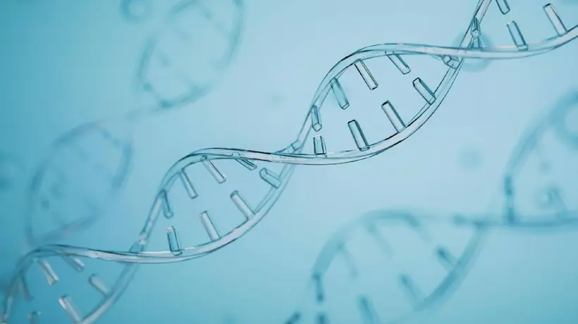 两起基因编辑试验致死案例曝光 看IIT规范缺失如何影响中国生物医药国际声誉