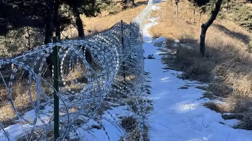 135公里刺网围泰山,防了“逃票”丢了人心 | 实习生选拔赛