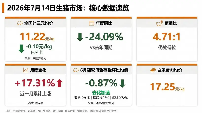 涌益/钢联/卓创三方同步确认6月能繁去化加速!机构提示:二育退潮后猪价短期或承压