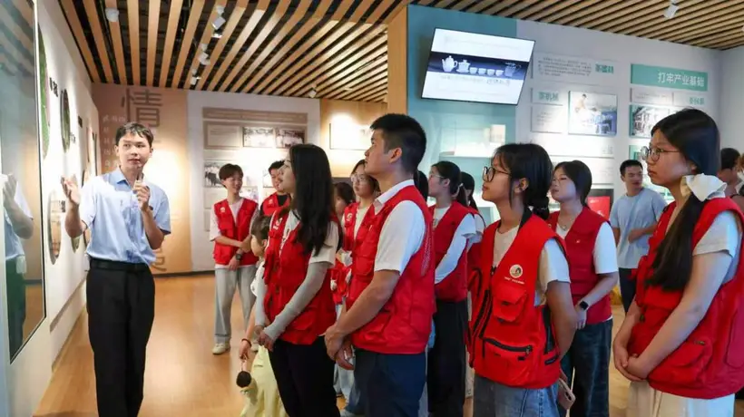 福建茶旅融合:茶香浸润青春实践之旅