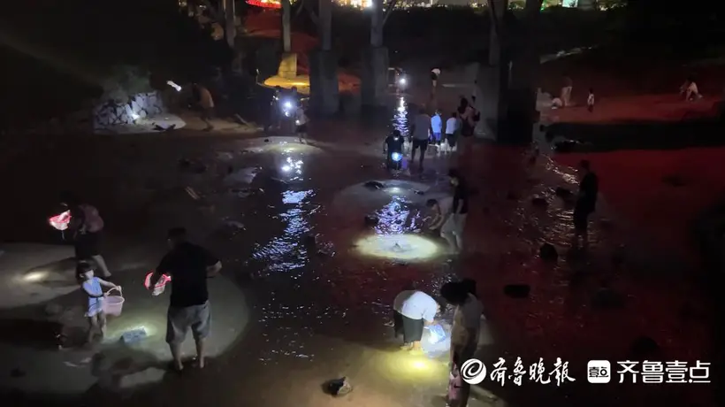 山海天太公岛牡蛎公园:夜幕赶海乐趣多