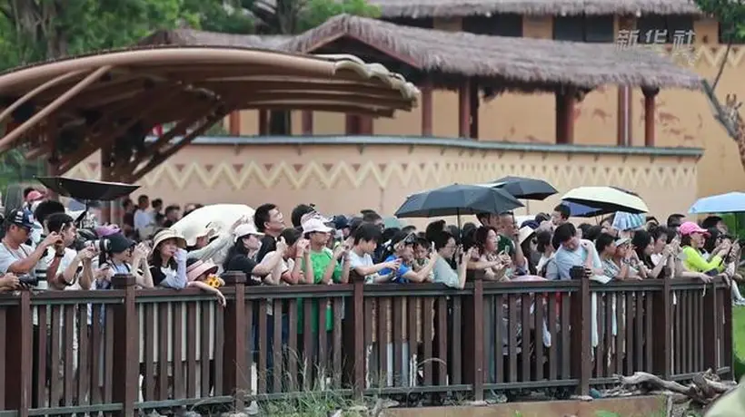 广东暑期文旅迎新动能 生态体验成亮点