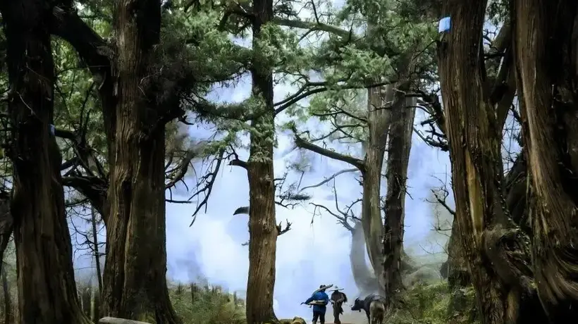 古道新途画中游:绵阳公路串联山水画卷