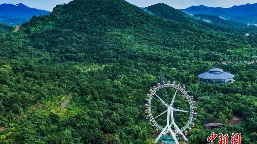 盛夏打卡南京东郊紫清湖 无人机镜头里满是生机盎然的绿意景致