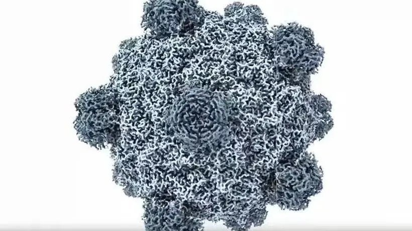 亲手参与AI造功能性噬菌？斯坦福团队带你见证基因设计新突破：人工病毒竟能突破耐药菌防线
