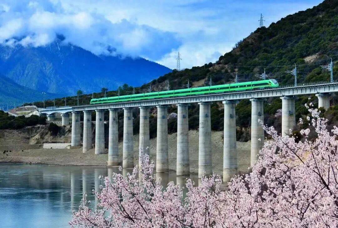 550公里穿越多年冻土！青藏铁路20年，运送旅客上亿人次