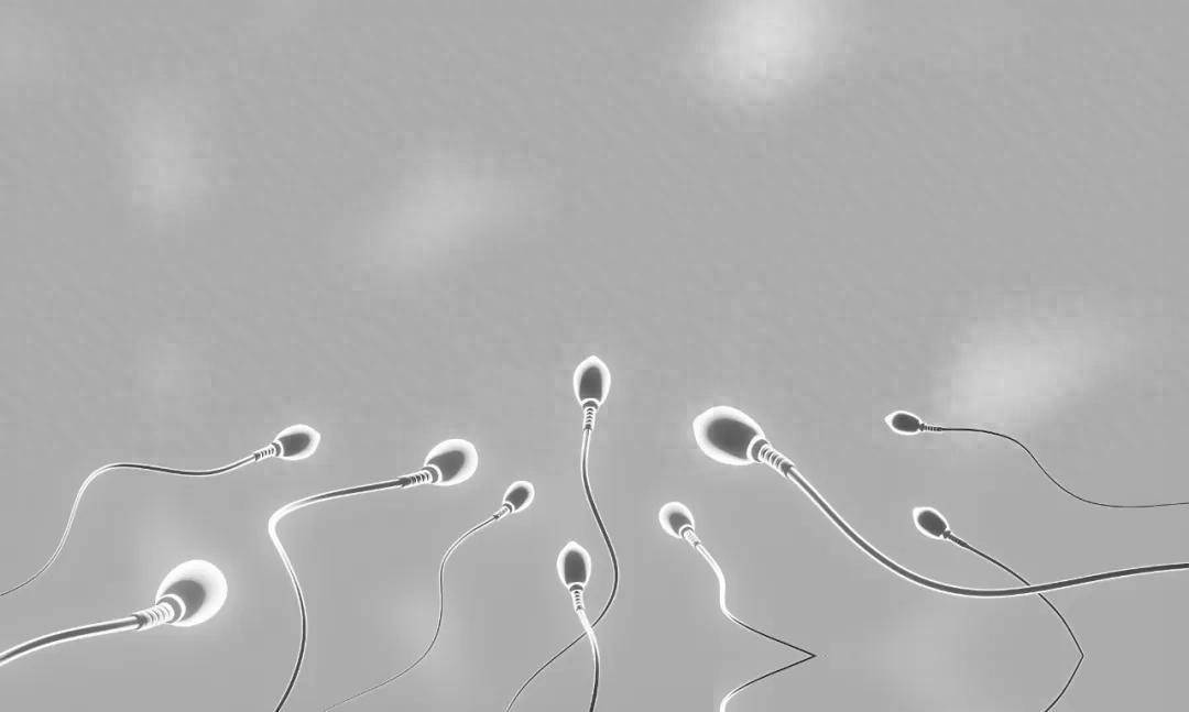 千年“养精蓄锐”遭推翻，牛津 5.4 万人研究：精子越攒，质量越差
