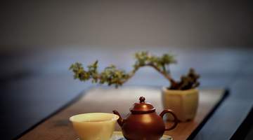 一茶一世界:品人生之苦,盼回甘之甜
