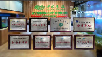 2026年中大连定制游服务商深度评估：如何甄选高性价比之选？