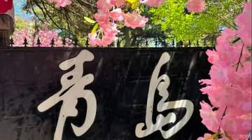 7-8月暑期青岛全攻略:这样玩才尽兴,一篇讲透