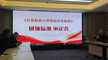 红茶匠心传承迎标：制茶大师等级评定指南团体标准通过审定