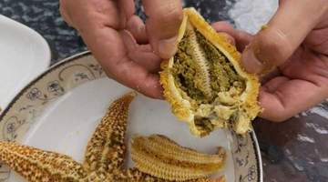 来参与海星火锅体验 二十八分钟煮后掰开那口满勺竟让人直呼扛不住