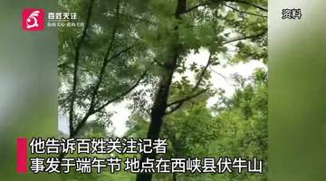 河南一男子上山祭祀遭老鹰偷袭:一度怀疑自己撞鬼了,期间共遭3次俯冲攻击;男子仅受皮外伤,目前已就医并接种破伤风疫苗