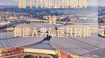 壹视界·任仲平文章解读之四 | 为人类谋进步、为世界谋大同